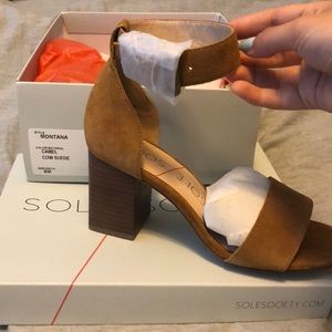 Sole Society Thick Heel Sandal